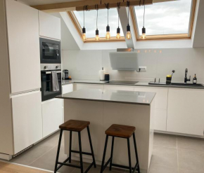 Agro Lux Apartment - Milenović